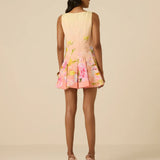 Avya Skater Dress