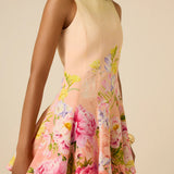 Avya Skater Dress