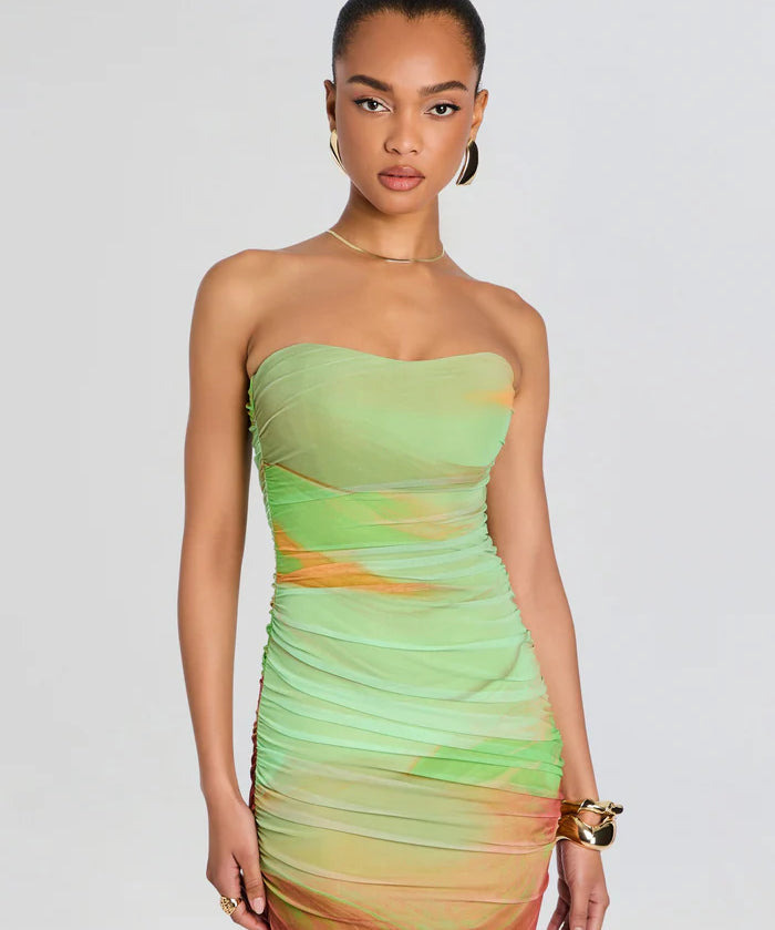 Isadore Mesh Dress