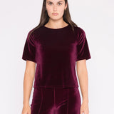 Velvet Short Sleeve Top Extended