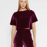 Velvet Short Sleeve Top